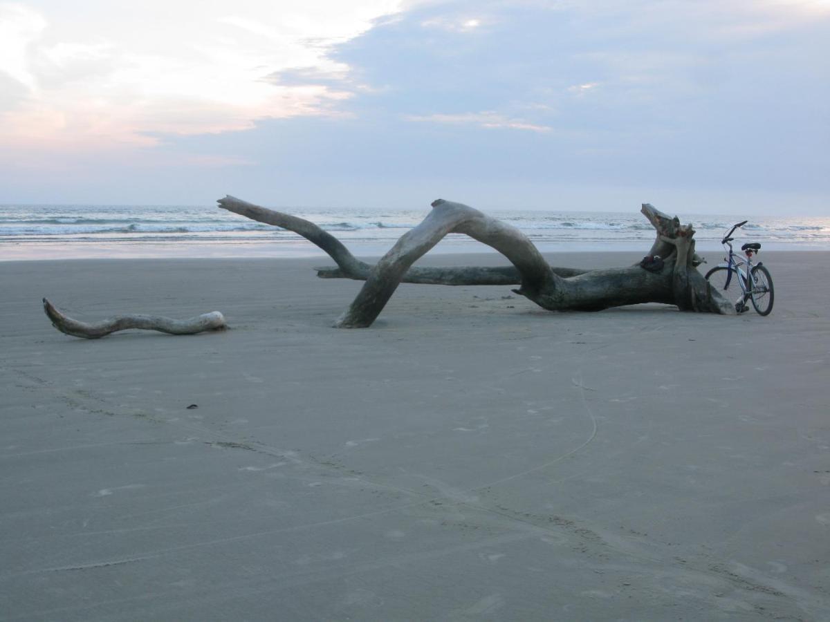 Ycatu Beach House Daire Sao Sebastiao  Dış mekan fotoğraf